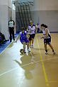Basket 252056